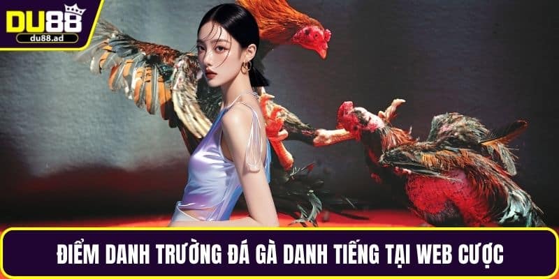 Điểm danh trường đá gà danh tiếng tại web cược