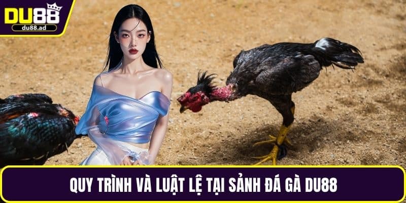 Quy trình và luật lệ tại sảnh đá gà DU88